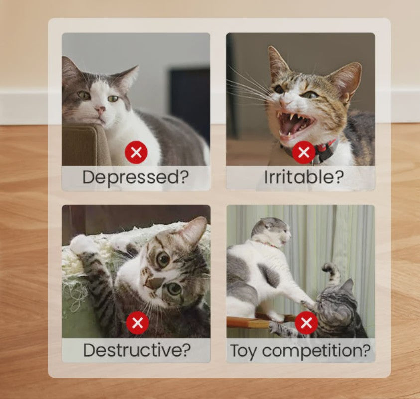 Interactief Vis Speeltje voor Katten met Kattenkruid en Ritselgeluid - Zacht & Duurzaam