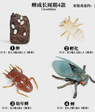 Realistische Insecten Speelgoed Set: Lieveheersbeestje, Bij, Spin & Meer - Educatief Plezier voor Kinderen