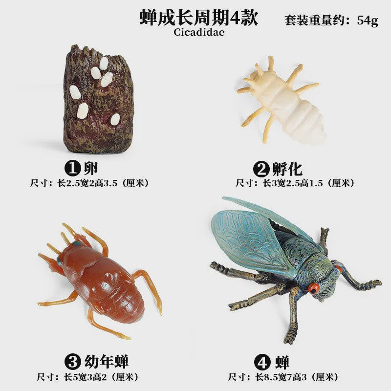 Realistische Insecten Speelgoed Set: Lieveheersbeestje, Bij, Spin & Meer - Educatief Plezier voor Kinderen