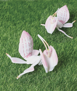 Realistische Insecten Model Figuren: Bidsprinkhaan, Bladwesp & Meer - Educatief Speelgoed & Decoratie
