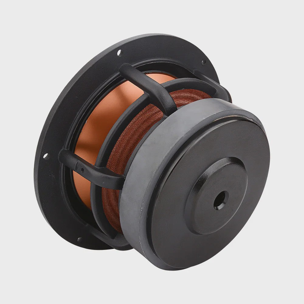 AIYIMA 6.5 inch HIFI Woofer Speaker - 100W Midrange Bass Loudspeaker voor Home Theater & DIY