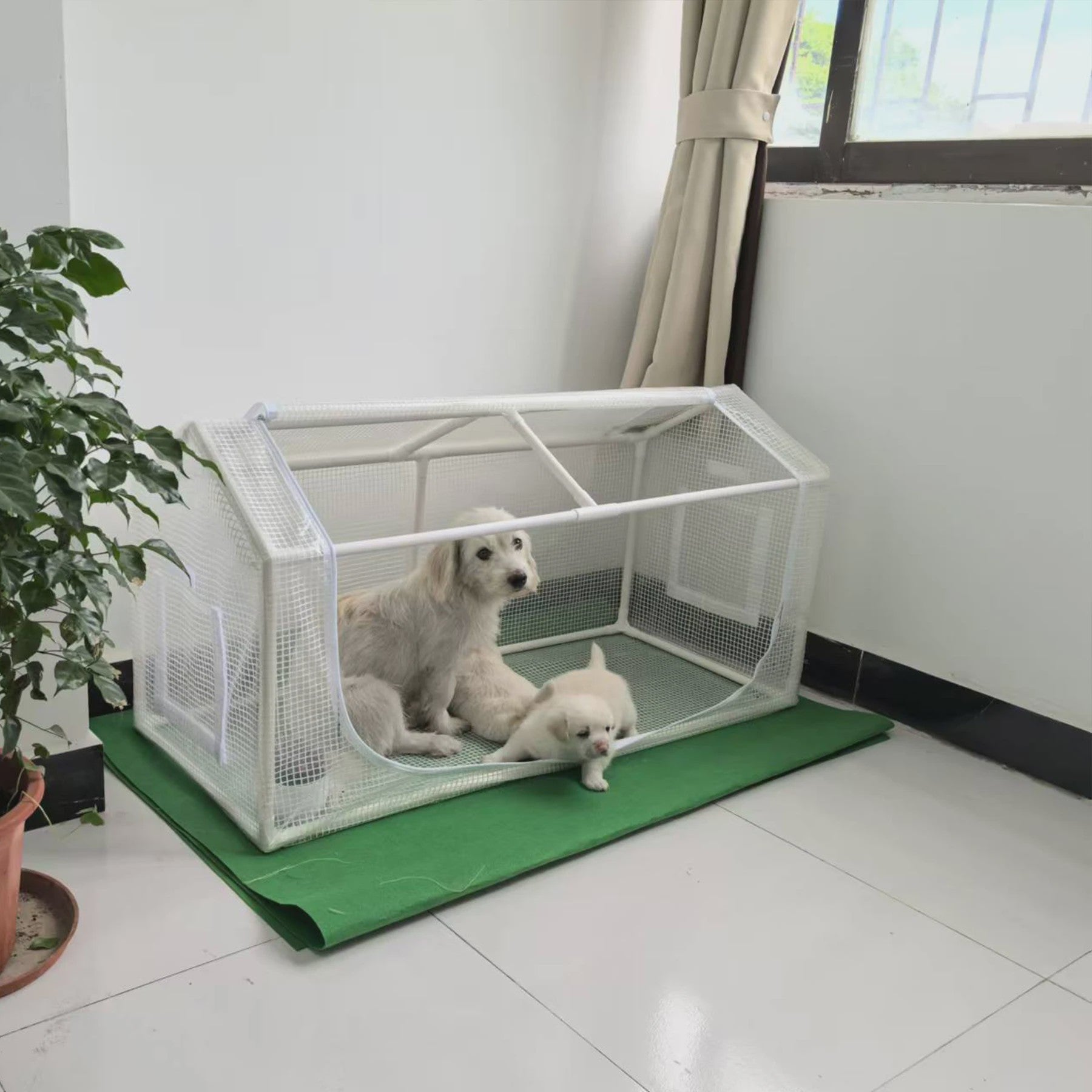 Compacte Koudbestendige PVC/PE Kas voor Tuinieren en Kleine Huisdieren