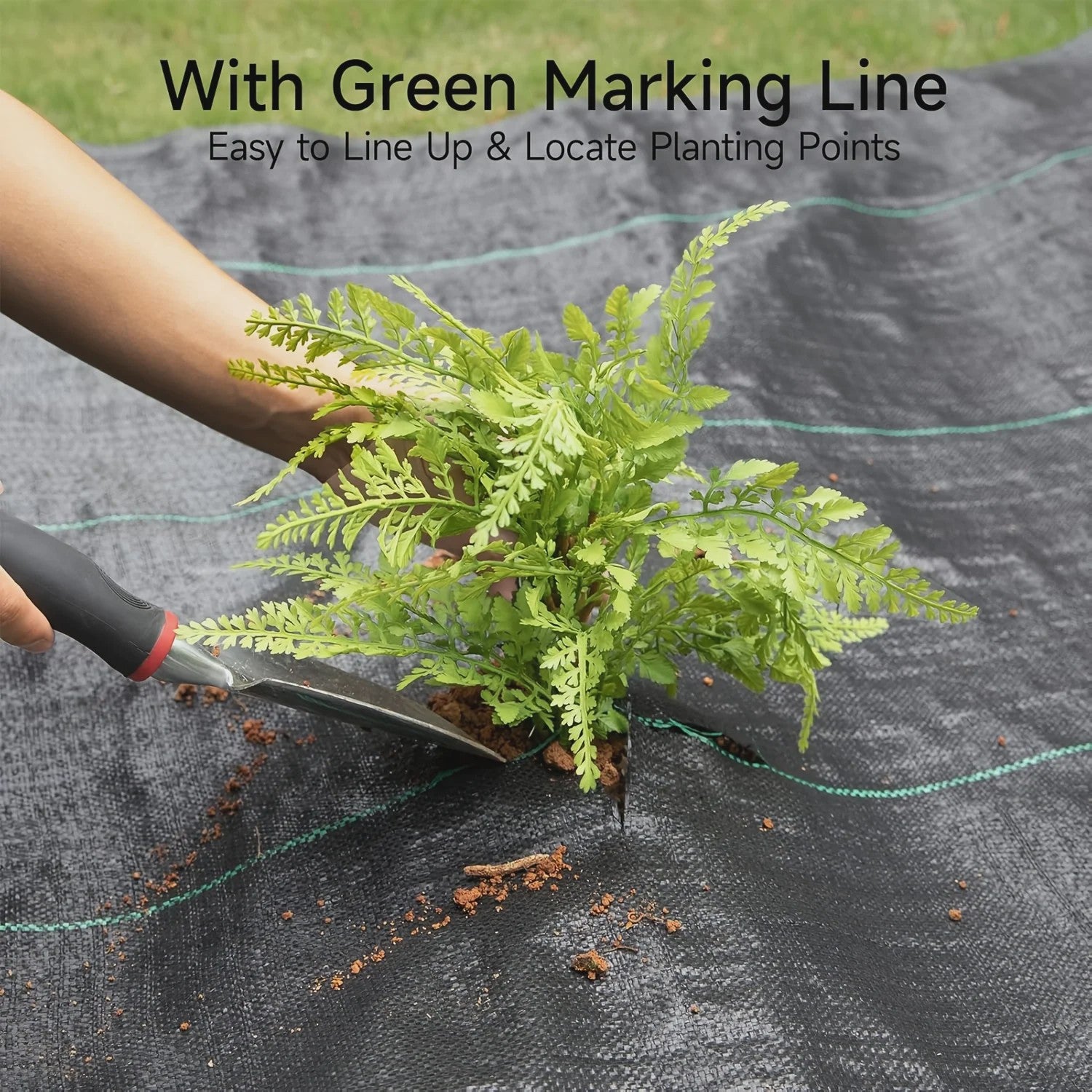 Zware Onkruiddoek Bodembedekker - UV Bestendig PP Materiaal voor Tuin & Gazon