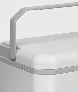 Draagbare Camping Koelbox 5L met Handvat - Geïsoleerd en Lekvrij