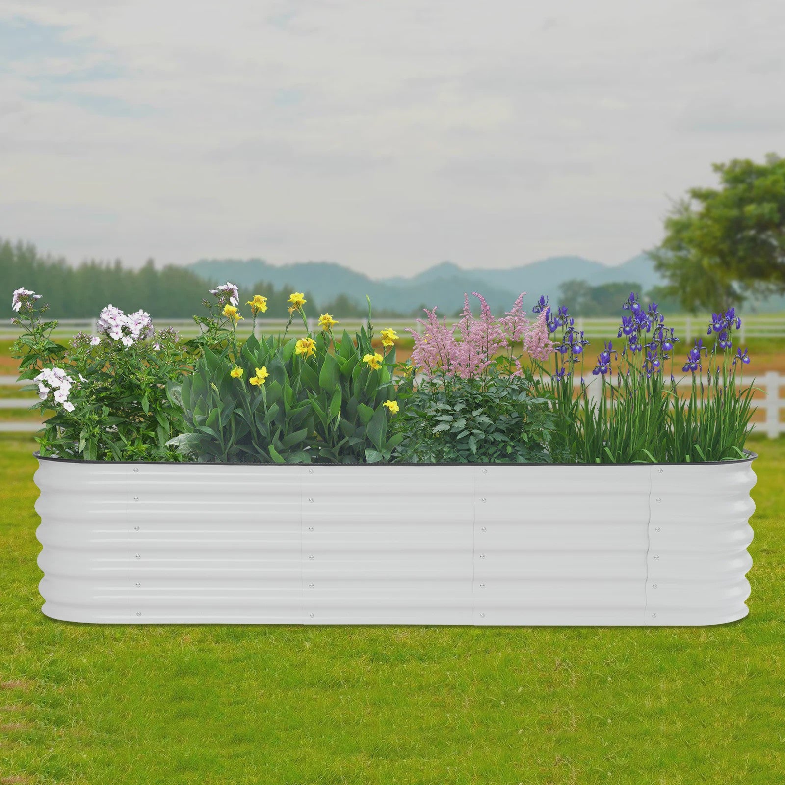 Verhoogd Plantenbed Verzinkt Staal Ovaal 195x60x43cm - Wit/Lichtgrijs