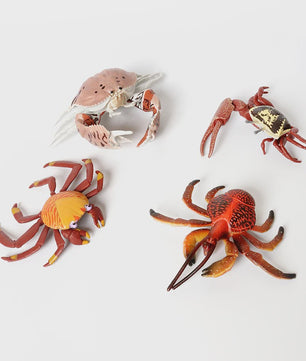 Educatieve Prehistorische Zeedieren Figuren Set: Baculite, Opabinia, Krab & Meer