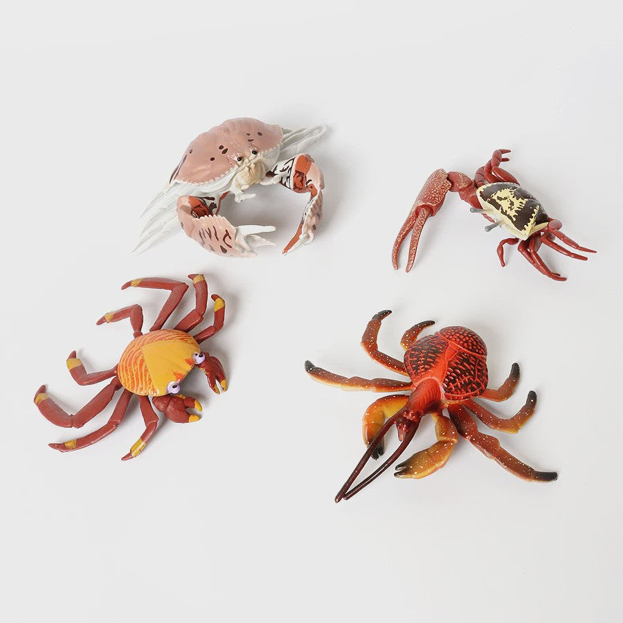 Educatieve Prehistorische Zeedieren Figuren Set: Baculite, Opabinia, Krab & Meer