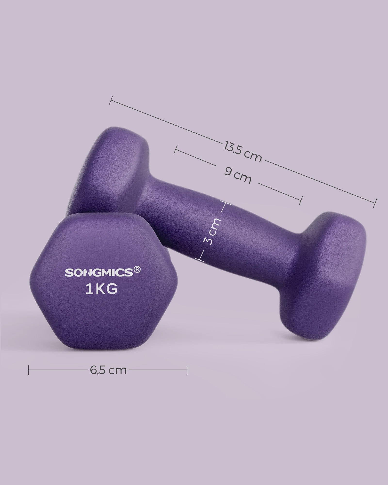 SONGMICS Halters Set (2 stuks) - Neopreen Coating, Zeskant Design - Verkrijgbaar in 1KG t/m 5KG