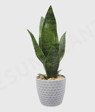 Kunst Sukkulenten Planten - Tropische Decoratie voor Huis, Feest & Kantoor