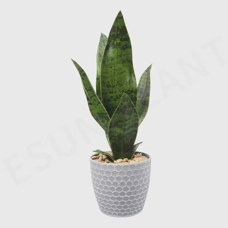 Kunst Sukkulenten Planten - Tropische Decoratie voor Huis, Feest & Kantoor