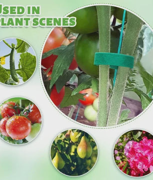 20 Meter Herbruikbare Plantenband - Verstelbare Nylon Tuinband voor Plantensteun