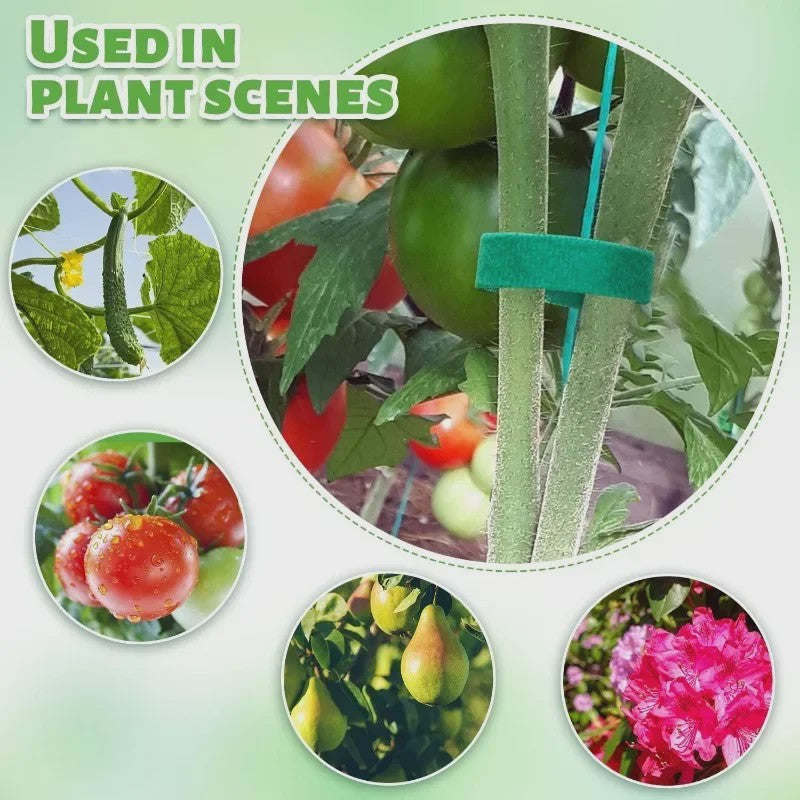 20 Meter Herbruikbare Plantenband - Verstelbare Nylon Tuinband voor Plantensteun