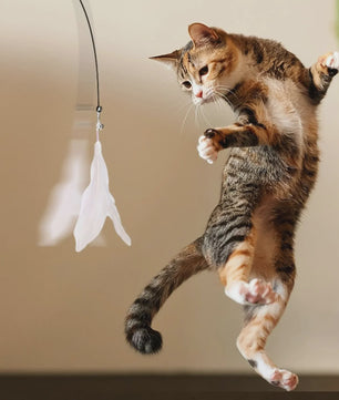 Interactieve Kattenhengel met Zuignap en Veer - Eindeloos Speelplezier voor uw Kat
