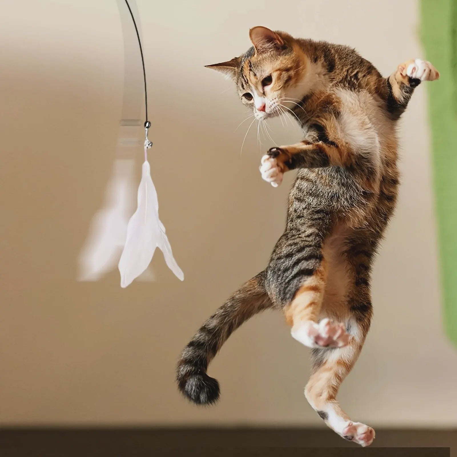 Interactieve Kattenhengel met Zuignap en Veer - Eindeloos Speelplezier voor uw Kat