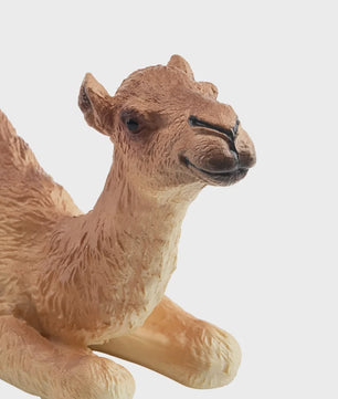 Toymany Camel Kalf Miniatuur Dier Model - Realistische Speelgoedfiguur voor Kinderen & Taartdecoratie