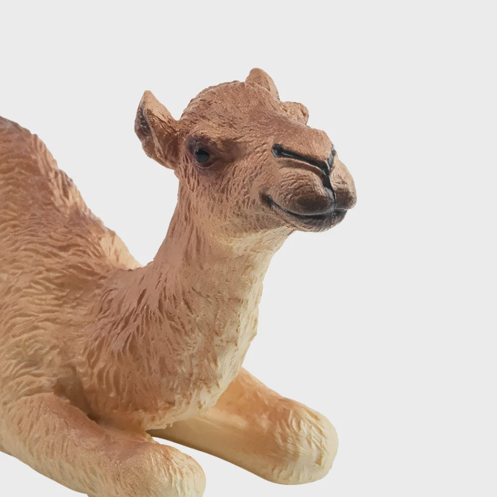 Toymany Camel Kalf Miniatuur Dier Model - Realistische Speelgoedfiguur voor Kinderen & Taartdecoratie
