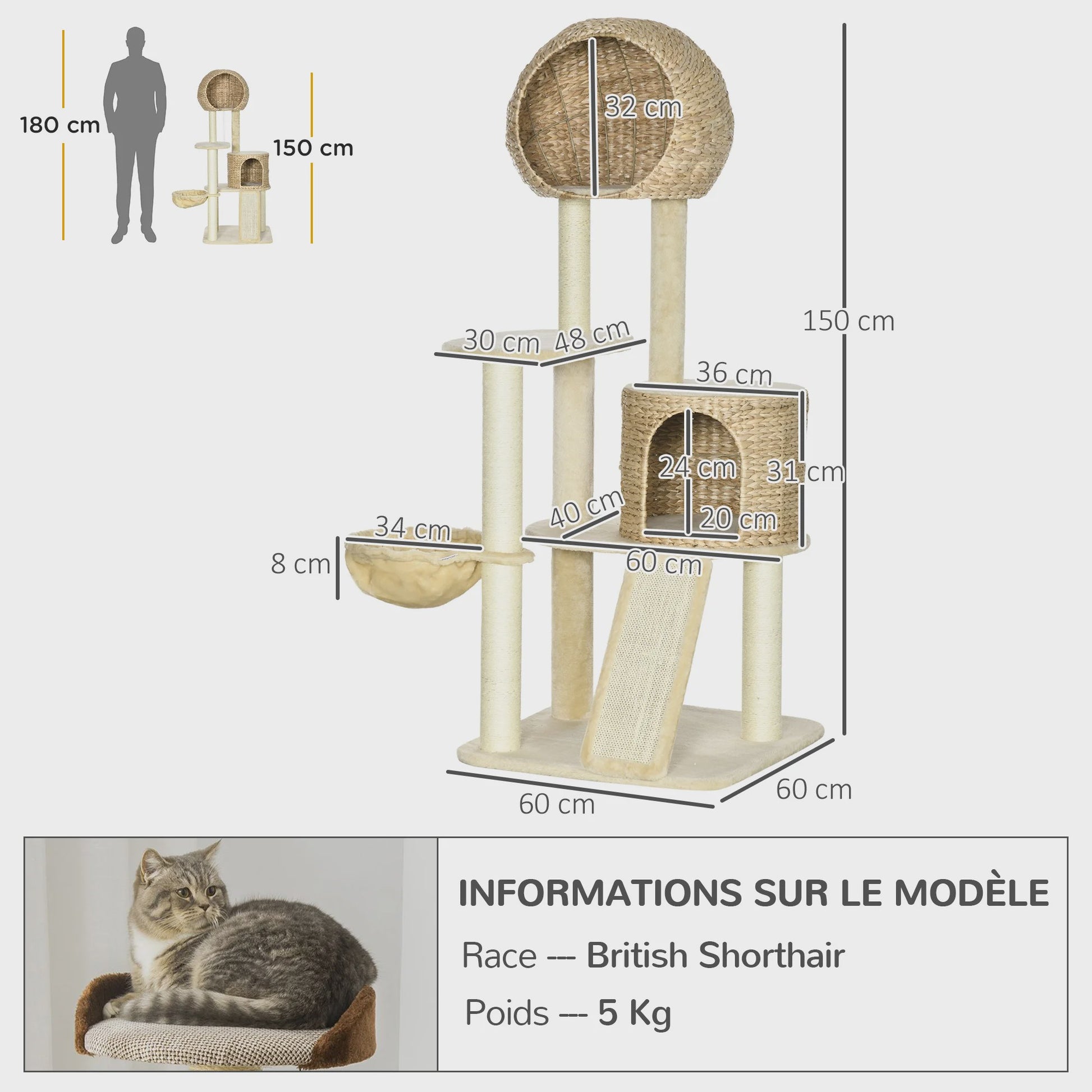 PawHut Kattenboom met Krabpaal, 2 Niche Huizen, Platform, Hangmat & Waterhyacint Mand - 60x60x150 cm Beige