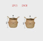 Handgeweven Zeegras Mand met Handvatten - Decoratieve Opbergmand & Plantenpot