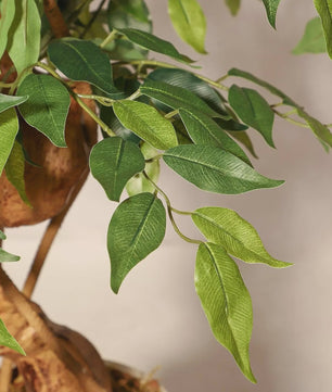 Kunst Ficus Boom met Gebogen Stam en Witte Pot - Realistische Zijde Plant voor Binnen & Buiten