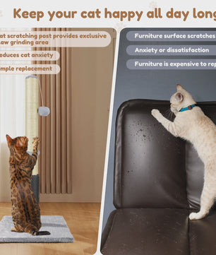 80cm Krabpaal voor Katten met Speelbal en Stabiele Basis