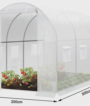 WOLTU Tunnelkas 300x200x200cm - Winterharde Polytunnel voor Groenten, Fruit & Bloemen