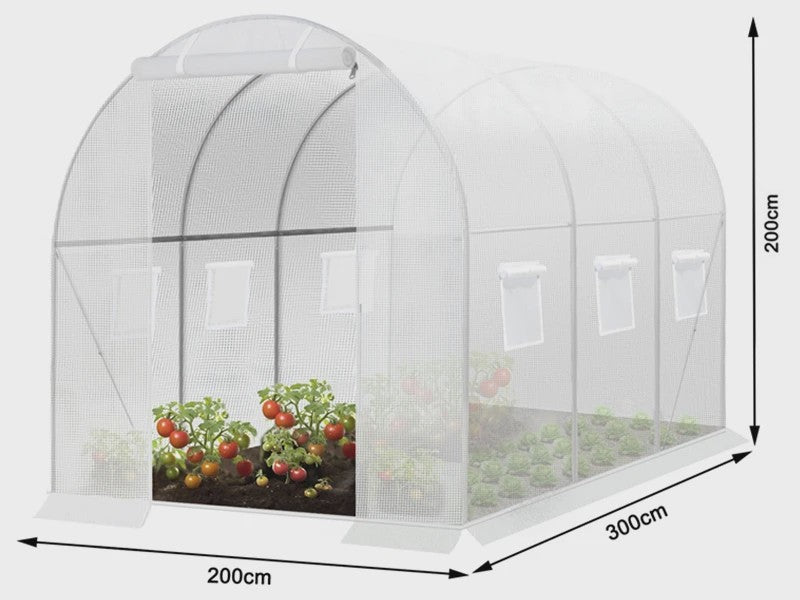 WOLTU Tunnelkas 300x200x200cm - Winterharde Polytunnel voor Groenten, Fruit & Bloemen