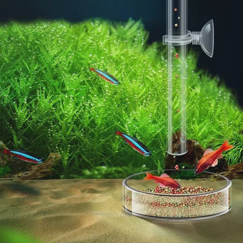 Transparante Acryl Voederbuis met Schotel voor Aquarium - Voerdispenser voor Vissen, Garnalen en Slakken