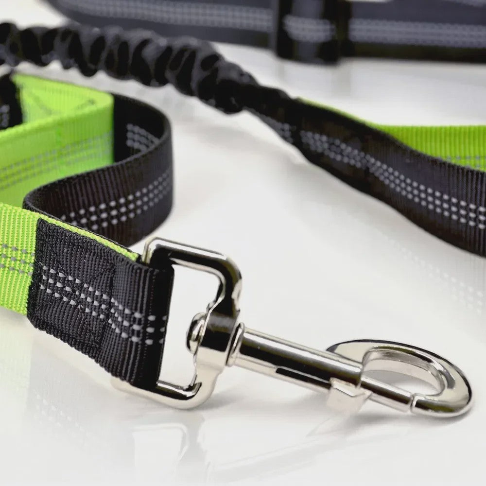 Handsfree Hondenriem met Verstelbare Tailleband - Ideaal voor Hardlopen, Joggen & Fietsen met Grote Honden