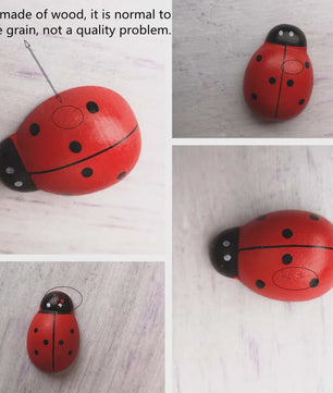 Houten Lieveheersbeestjes Decoratie Set - 5 Stuks - Miniatuur Tuin & Knutsel Accessoires