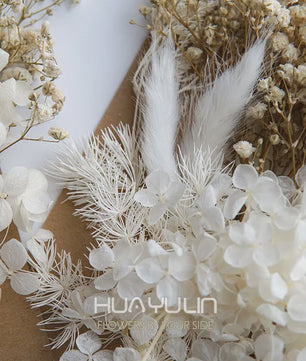 Set Gedroogde Bloemen & Hydrangea voor Ambacht & Decoratie