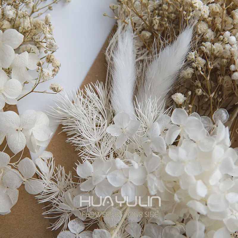 Set Gedroogde Bloemen & Hydrangea voor Ambacht & Decoratie