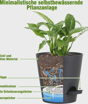Set van 6 Zelfwaterende Plantenpotten met Onderzetter - Ideaal voor Binnen & Buiten
