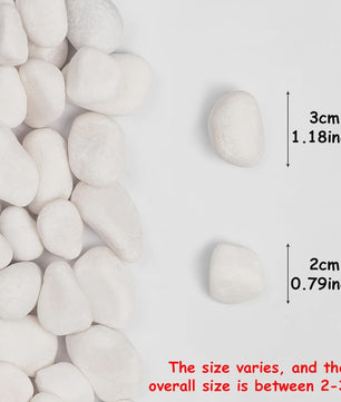 Witte Rivierstenen 2-3cm (250/600g) - Gladde Decoratieve Kiezels voor Aquarium, Terrarium & Planten