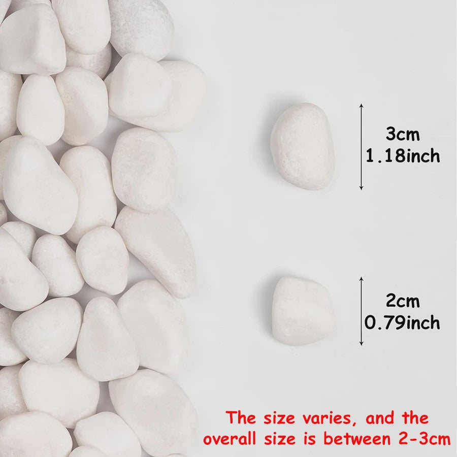 Witte Rivierstenen 2-3cm (250/600g) - Gladde Decoratieve Kiezels voor Aquarium, Terrarium & Planten