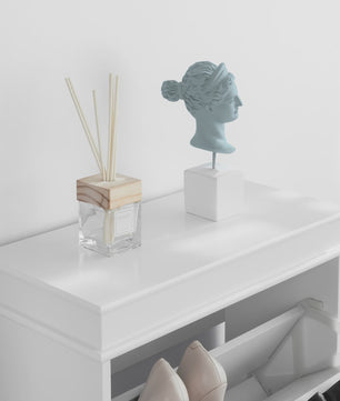 Stijlvolle Schoenenkast met 2 Klepkasten en 4 Opbergvakken - 54x83x24cm