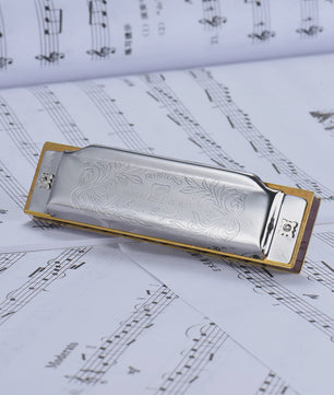 Folkmaster Blues Harmonica - 10 Gaten, 20 Tonen, Diatonisch - Ideaal voor Beginners