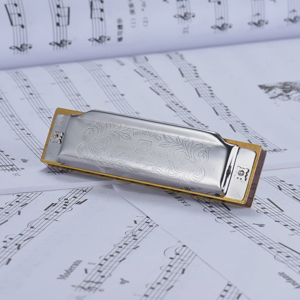 Folkmaster Blues Harmonica - 10 Gaten, 20 Tonen, Diatonisch - Ideaal voor Beginners
