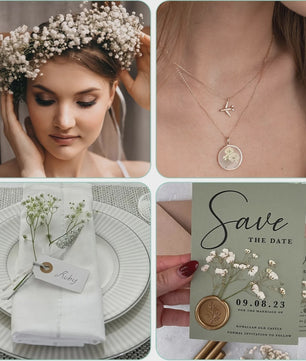 110 Stuks Gedroogde Baby's Breath (Gypsophila) - Boho Decoratie & Knutselmateriaal