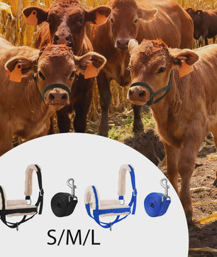 Verstelbare Nylon Halster met Lijn voor Paarden, Koeien, Schapen & Geiten - Dagelijks Gebruik