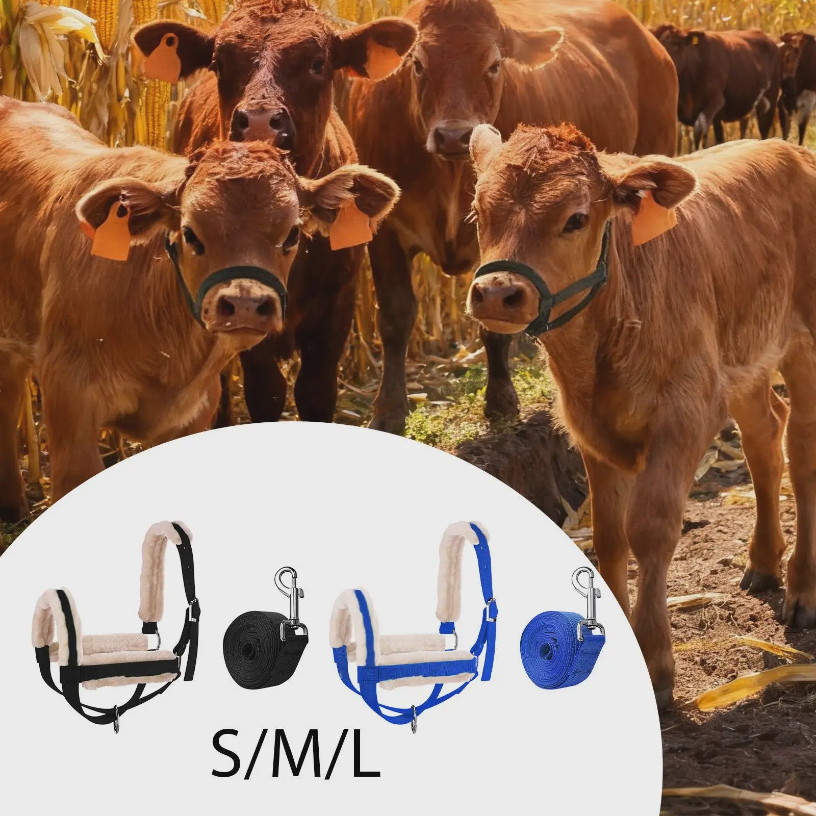 Verstelbare Nylon Halster met Lijn voor Paarden, Koeien, Schapen & Geiten - Dagelijks Gebruik