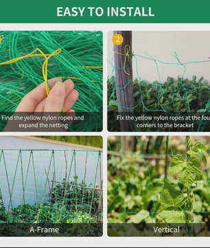 Stevig Klimnet voor Planten & Pergola's - Polyester Tuinnet met Vierkante Mallas