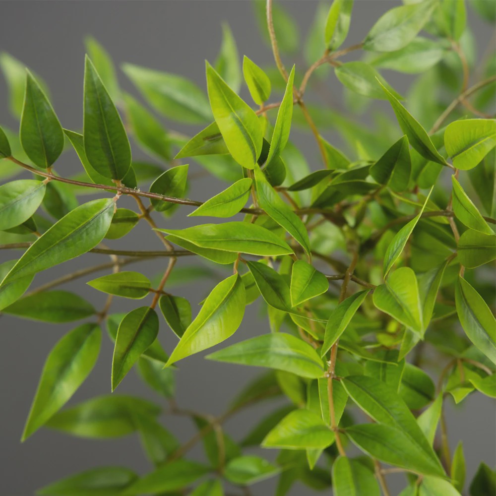 Kunstplant Nandina met Bamboe Bladeren - 75-140cm Hoog
