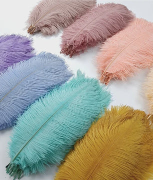 Set van 10 Gekleurde Struisvogelveren voor Knutselen, Decoratie en Feesten
