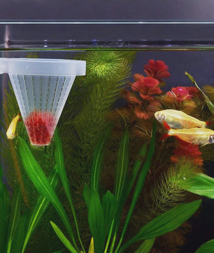 2x Aquarium Voederbeker Kegelvormig - Voor Levend Voer