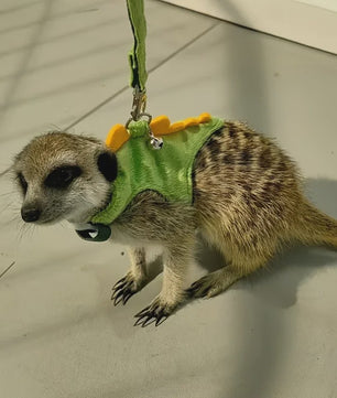 Schattig Dinosaurus Harnas met Riem en Bel voor Fretten, Muizen en Kleine Huisdieren