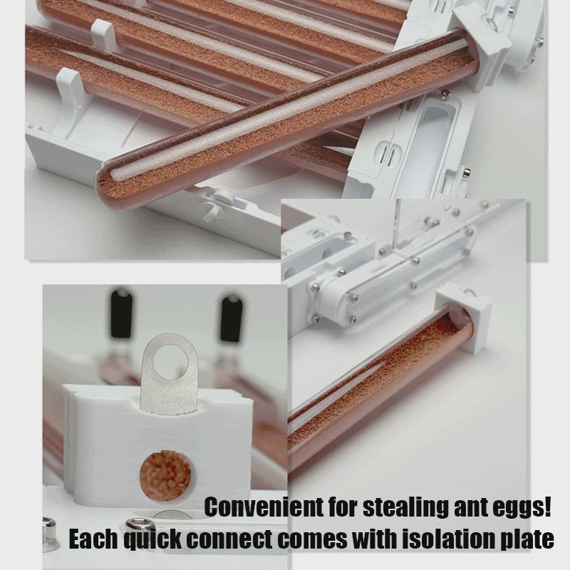 Ant Farm Nest SL256: 6-buizen 3D-geprint, oneindig stapelbaar mierenverblijf