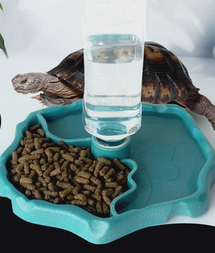 Automatische Reptielen Voerbak en Waterschaal - Afneembaar & Makkelijk Schoon te Maken