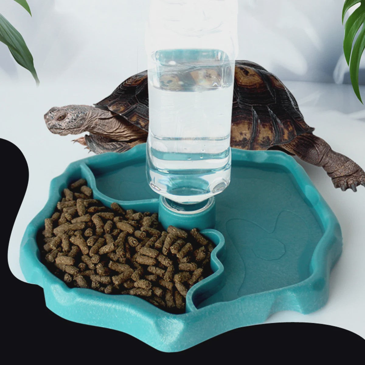 Automatische Reptielen Voerbak en Waterschaal - Afneembaar & Makkelijk Schoon te Maken