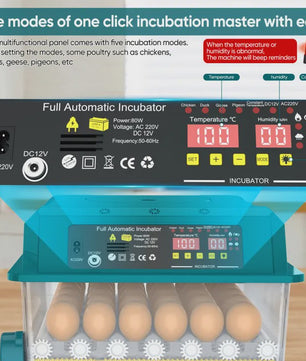 Volledig Automatische Broedmachine voor 36 Eieren - 4 Modi, Automatische Keer- & Temperatuurregeling
