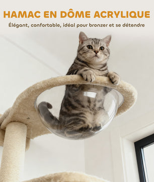 PawHut Wandmeubel voor Katten: 6-delige set met klimboom, hangmat en krabpaal